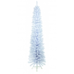 White Pencil Pine Tree 200cm