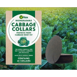 30 Cabbage Collars