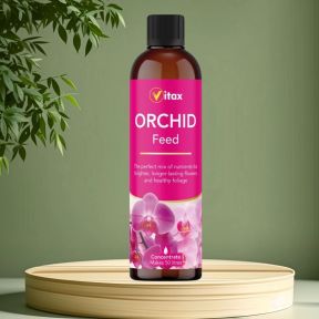 Vitax Orchid Feed 250ml