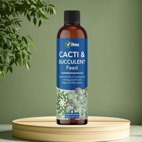 Vitax Cacti Feed 250ml