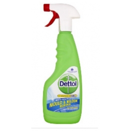 Dettol Mould and Mildew Remover 750 ml