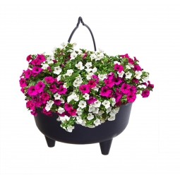 10 Inch Cauldron Planter
