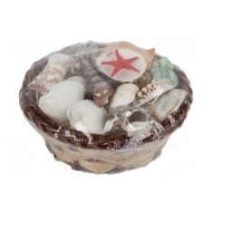Assorted Sea Shell Collection In Mini Wicker Basket Bathroom Accessory 11cm