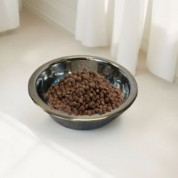 Dog Bowl 1.2L