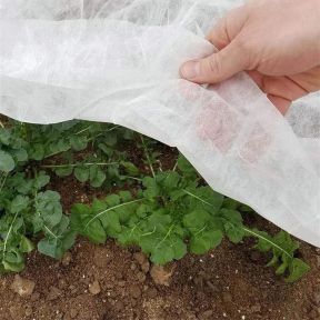 Frost Fleece 8M x 1.5M