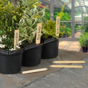 10cm Bamboo Plant Labels