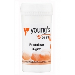 Youngs Pectolase Maximum Yeild Of Fruit Juice & Prevents Pectin Hazes - 32g