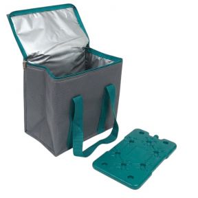 10L Cool Bag & Ice Block