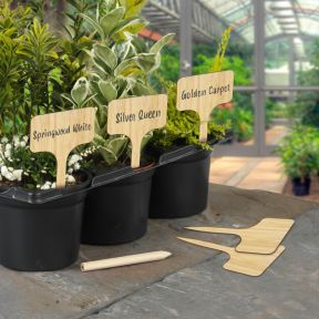 T Type Bamboo Plant Labels