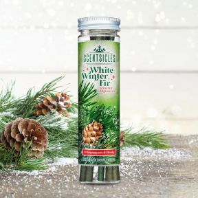 Scentsicles White Winter Fir
