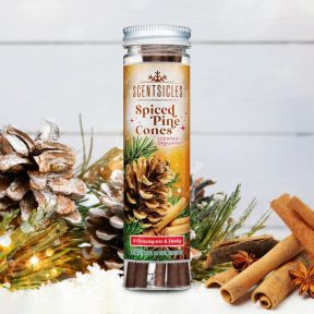 Scentsicles Spiced Pine Cones