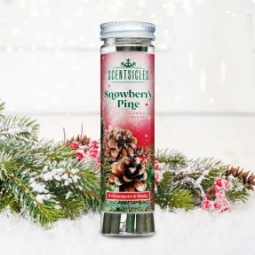 Scentsicles Snowberry Pine