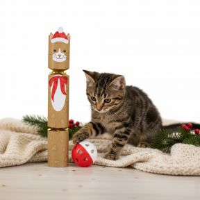 Cat Christmas Cracker