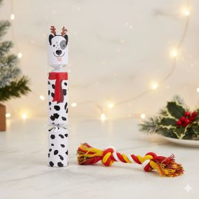 Dog Christmas Cracker