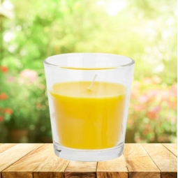 Citronella Glass Jar Candle