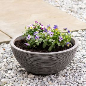 Amalfi Bowl Planter