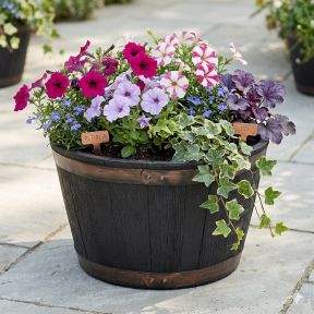 Small Oakwood Barrel Pot